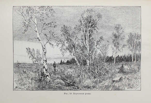 [Собрание В.Г. Лидина] Васильковский П.Е. Чудеса растительного царства. Популярные очерки из жизни растений. СПб., 1912.